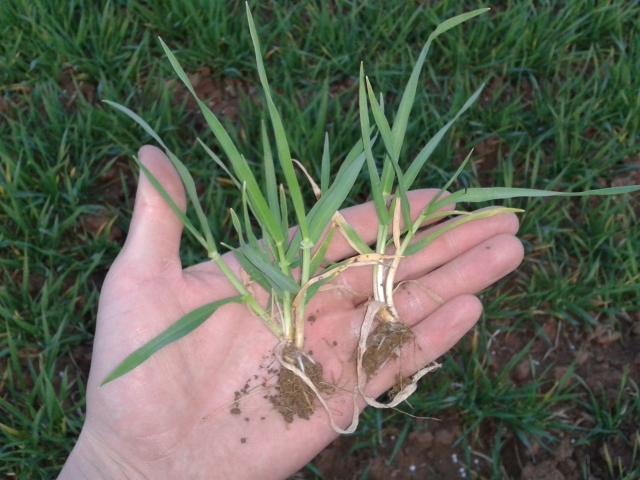 2014-03-30 19.24.50 (640x480).jpg