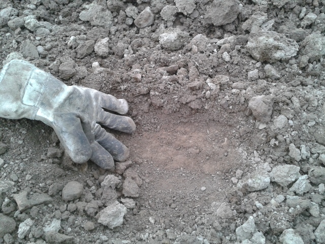 2014-03-31 18.04.02 (640x480).jpg