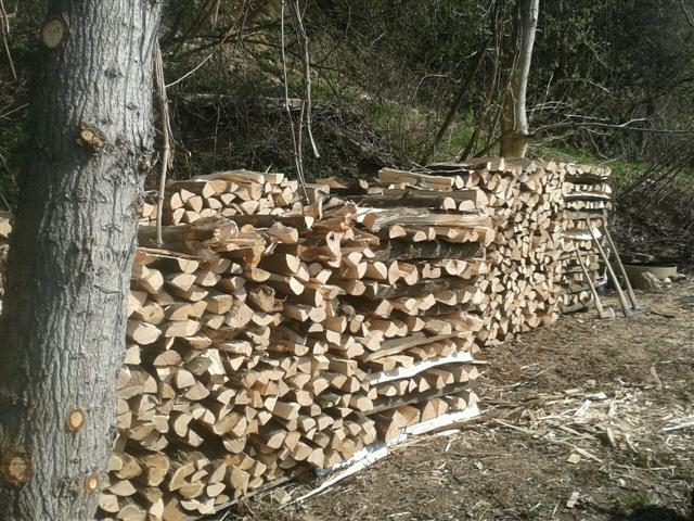 2014-03-29 14.32.09 (Klein).jpg