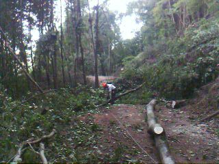 IMAGE_00023.jpg