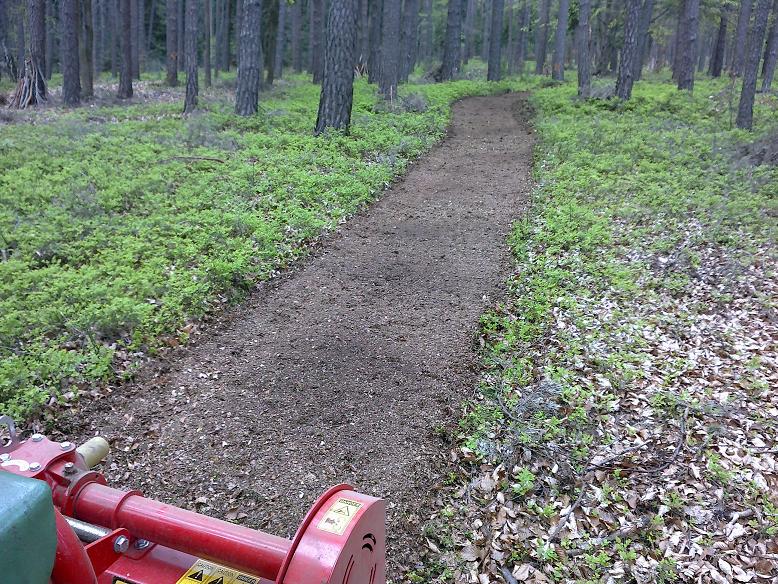 WaldTrisching 010.jpg