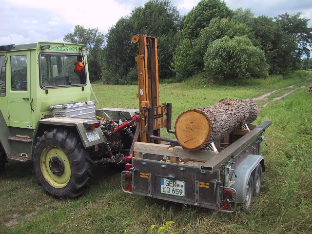 9 Stamm auf Sägewerk red.jpg