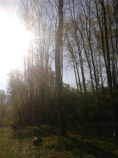 2014-04-11 08.51.13 (Klein).jpg