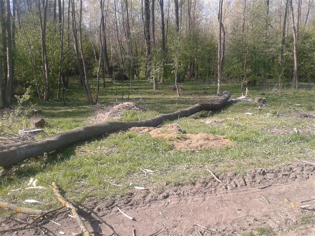 2014-04-11 09.43.10 (Klein).jpg