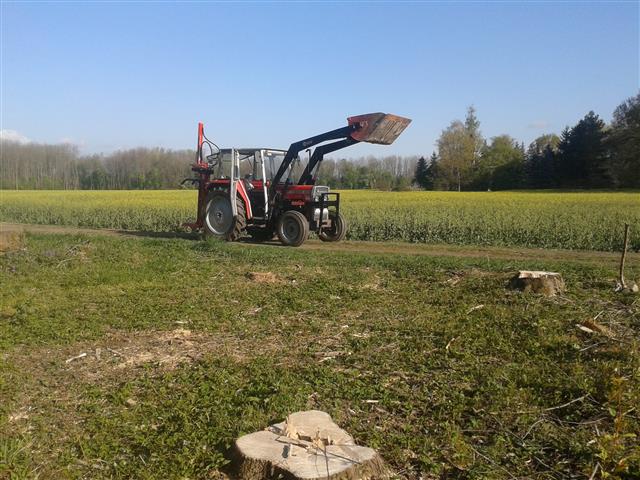 2014-04-11 08.50.59 (Klein).jpg