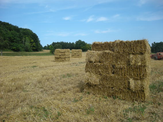 Ballenstapel.JPG