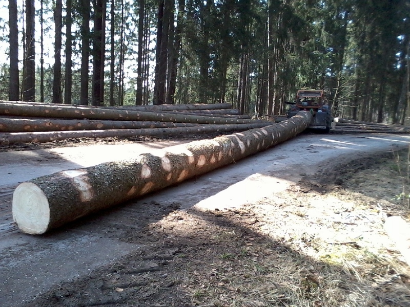 Foto0011 (800x600).jpg