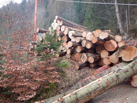 Fixlängen fertig zum Transport.jpg