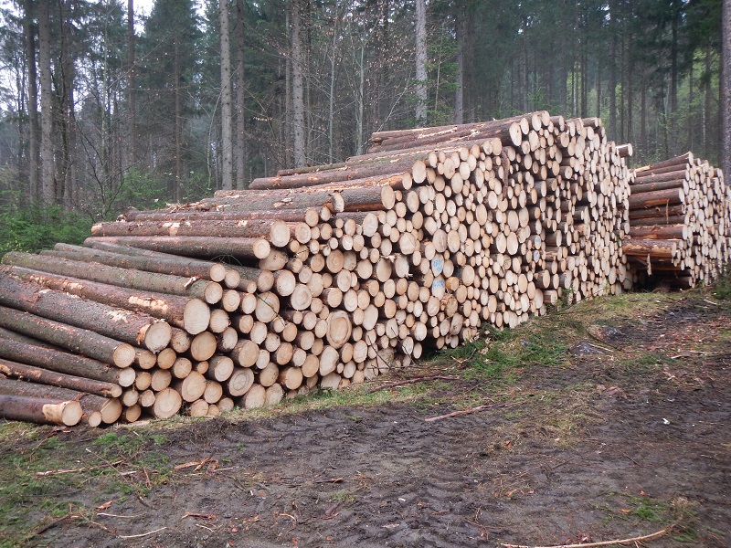 schön gepoltert.jpg