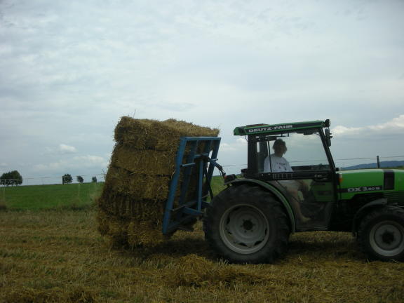Transportgabel 3.JPG