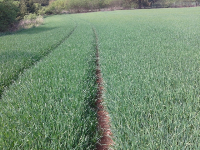 2014-05-01 15.10.59 (640x480).jpg