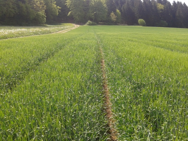 2014-05-04 11.56.23 (640x480).jpg