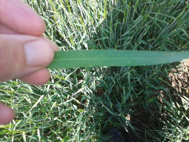 2014-05-04 11.57.55 (640x480).jpg