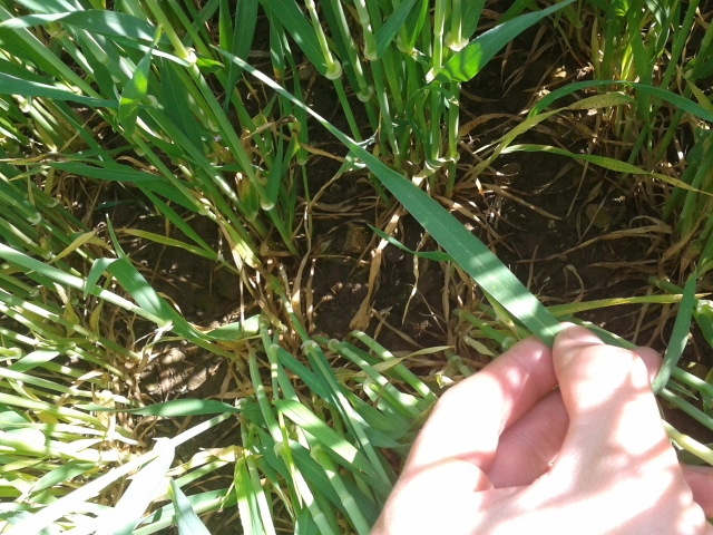 2014-05-04 11.58.40 (640x480).jpg