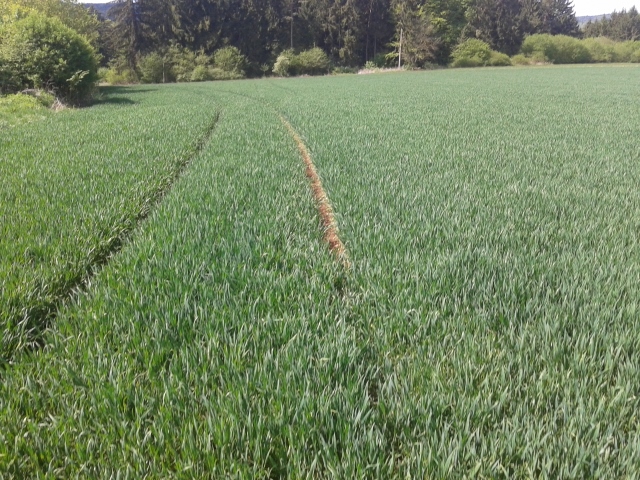 2014-05-04 11.59.11 (640x480).jpg