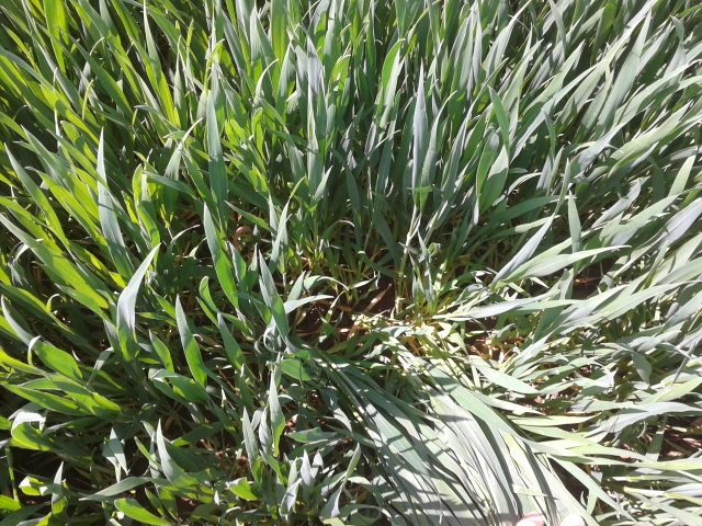 2014-05-04 11.59.36 (640x480).jpg