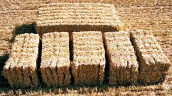 Multibale.jpg