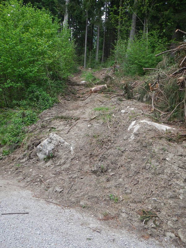 Nach dem Harvester.JPG