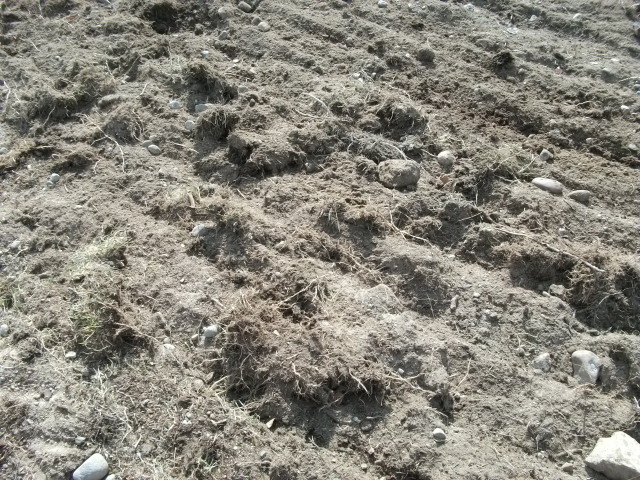 DSCF4355.jpg