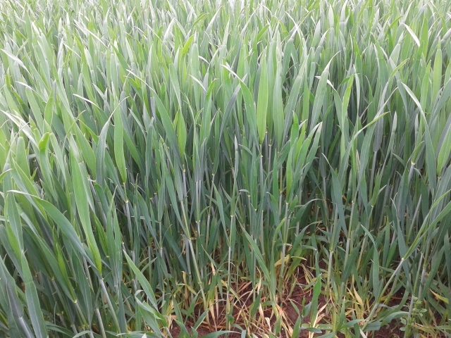 2014-05-17 11.59.39 (640x480).jpg