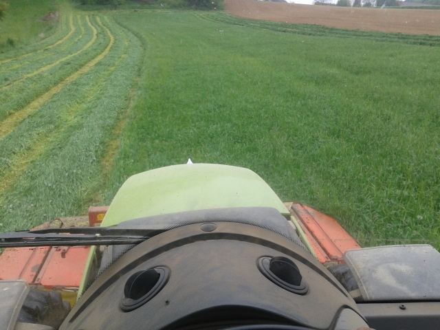 2014-05-19 10.45.57 (640x480).jpg