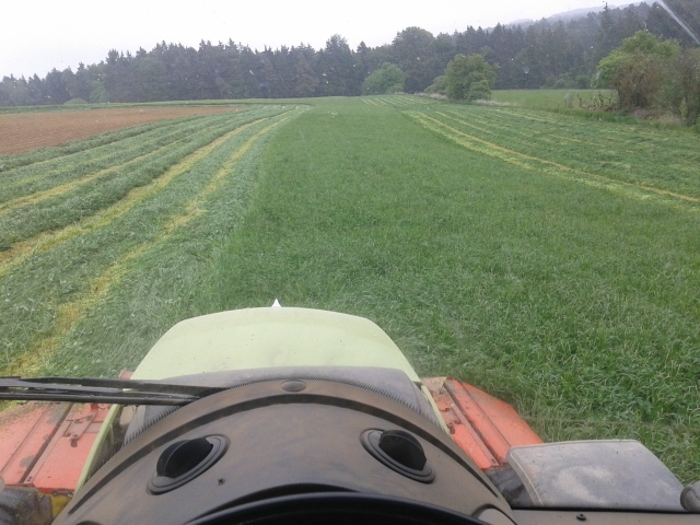 2014-05-19 10.47.29 (640x480).jpg