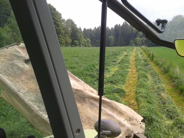 2014-05-19 11.16.29 (640x480).jpg