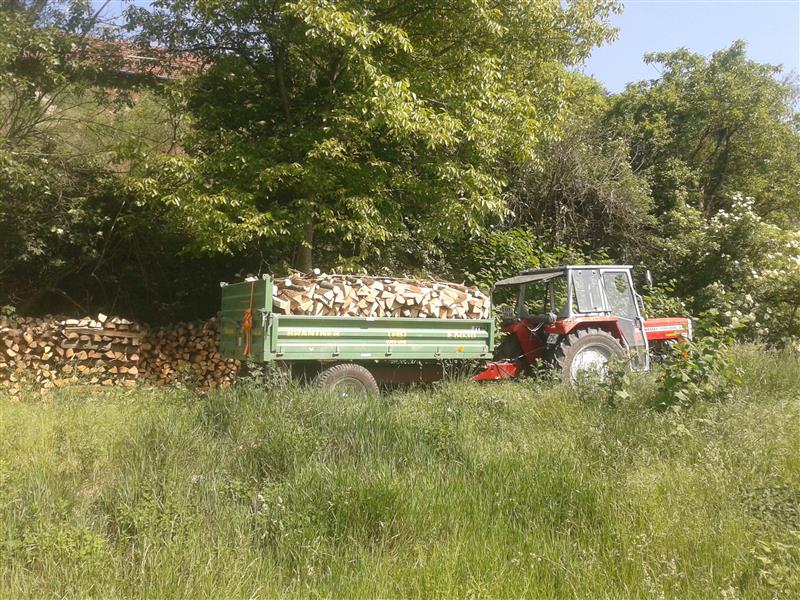 2014-05-22 15.53.21.jpg