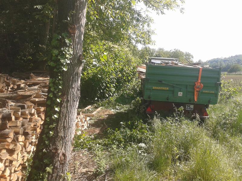 2014-05-22 15.53.51.jpg