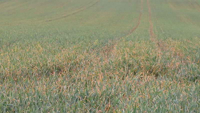 3_Bildgröße ändern.jpg