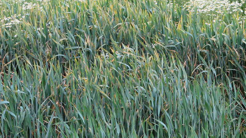 4_Bildgröße ändern.jpg