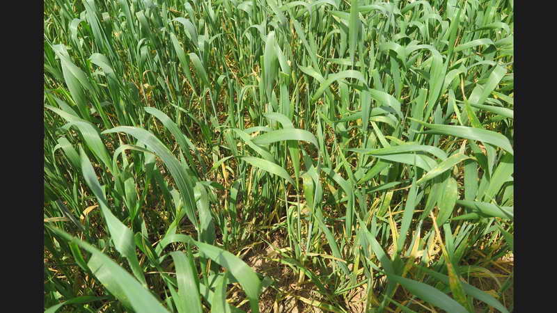 7_Bildgröße ändern.jpg