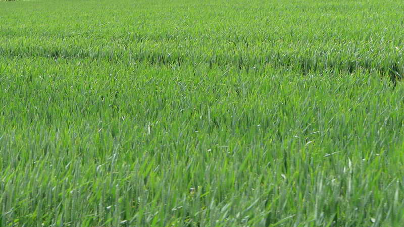 6_Bildgröße ändern.jpg