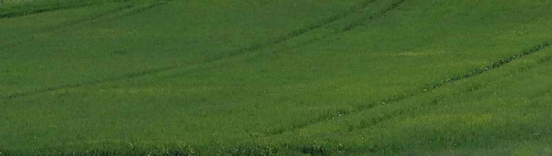 5_Bildgröße ändern.jpg