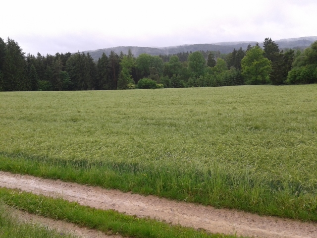 2014-05-29 17.33.35 (640x480).jpg