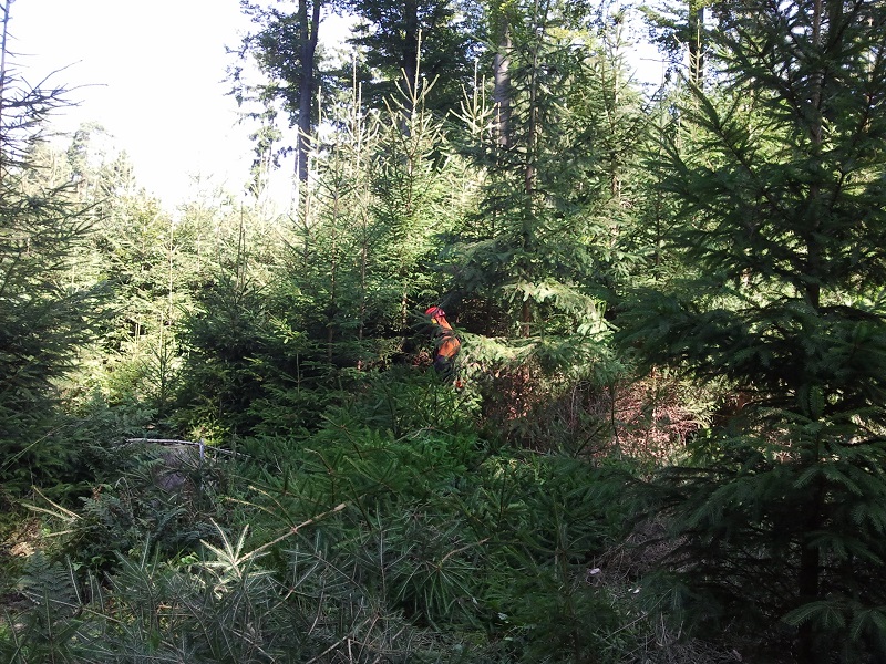 2012-08-14 10.54.19.jpg