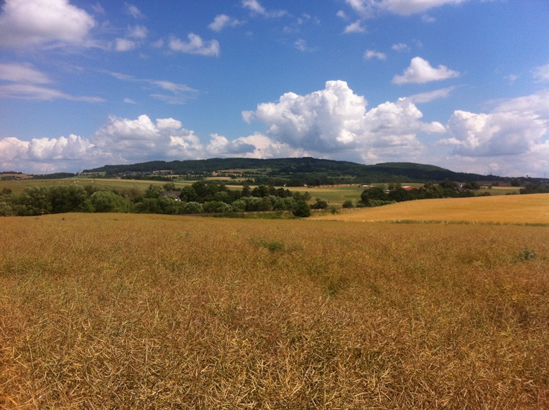 Juni 14'  Landtreff-Raps.JPG