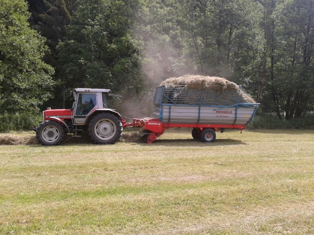 2014-07-04 13.48.39 (640x480).jpg