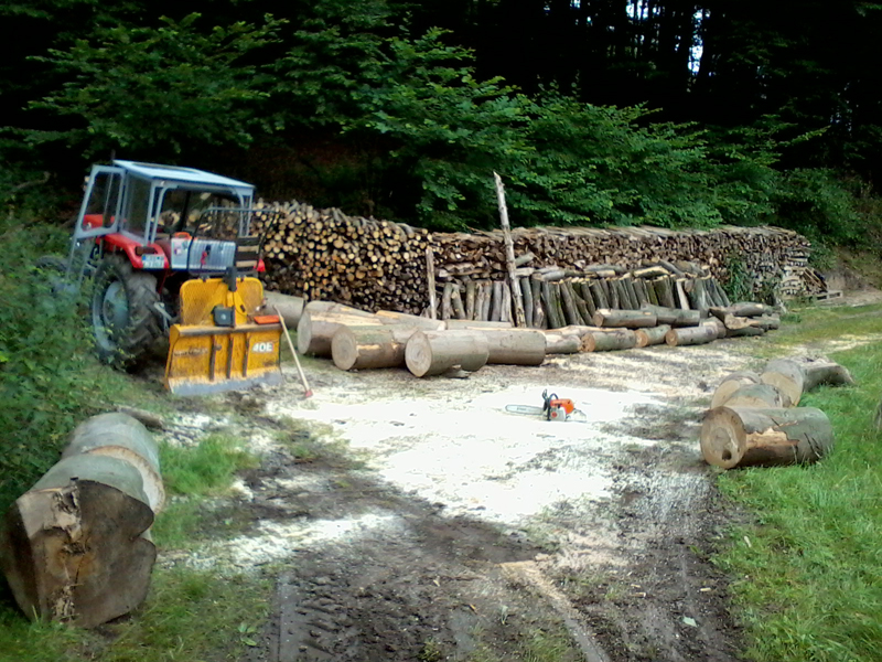 2014-07-05 Buche Meterstuecke-1.jpg