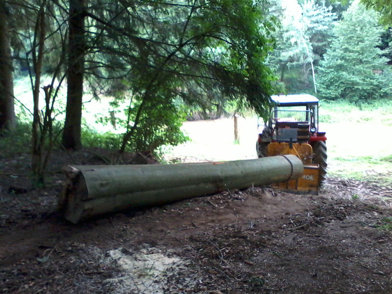 2014-07-05 Buche ziehen.jpg