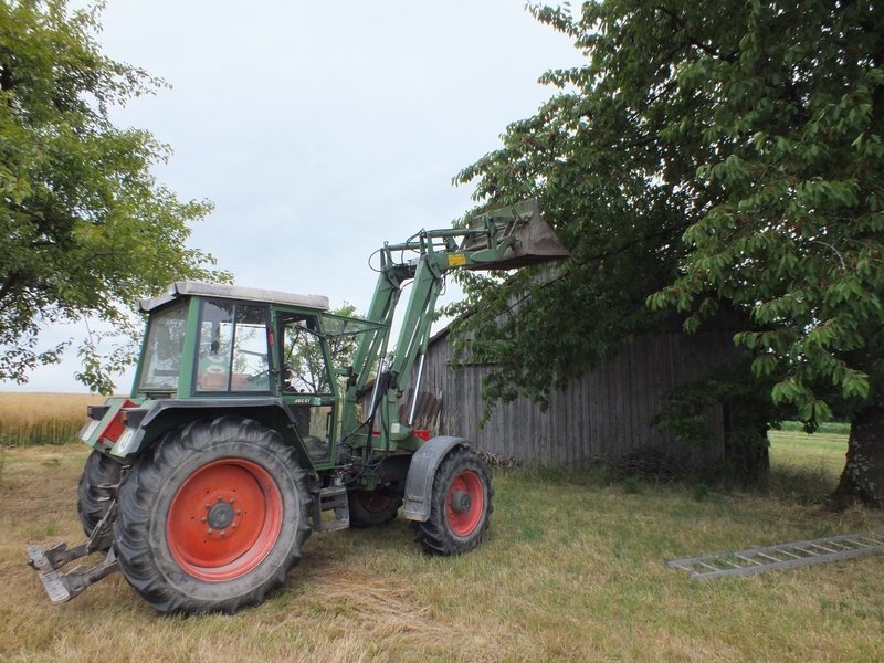 Kirschenpflücken 2014 mit 380er1web.jpg