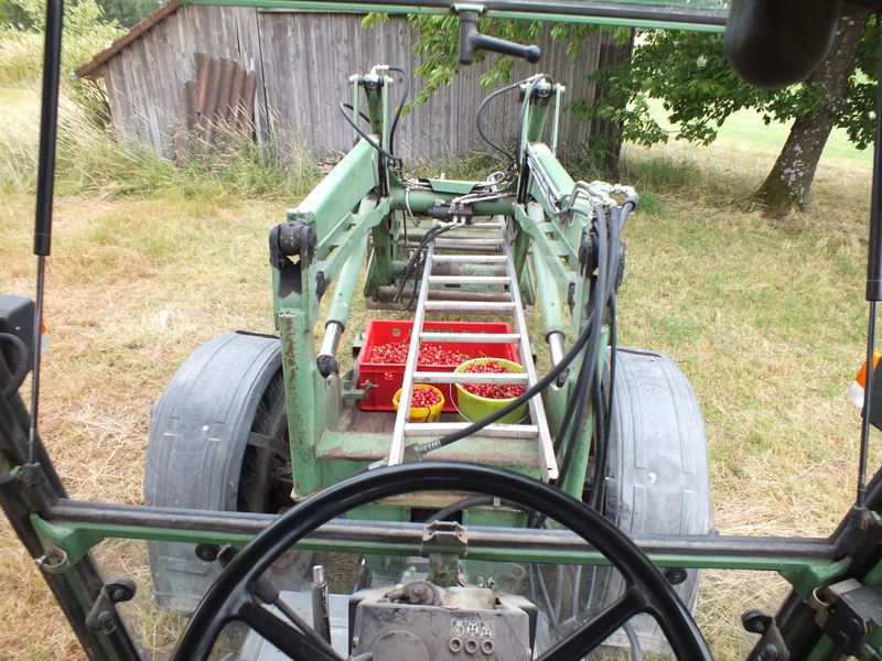 Kirschenpflücken 2014 mit 380er10web.jpg