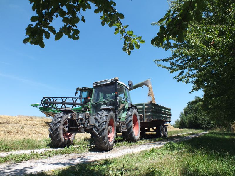 Wintergerste dreschen 20146web.jpg