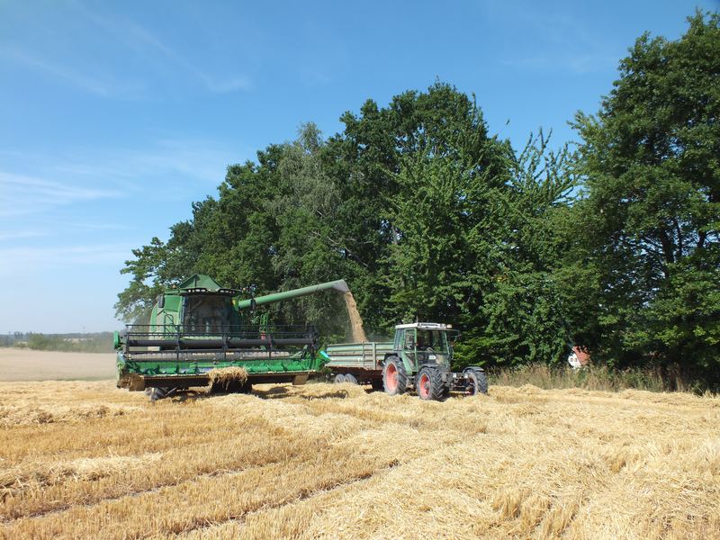 Wintergerste dreschen 201422web.jpg