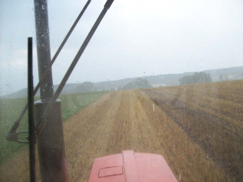 Mistfahren 2014 2.jpg