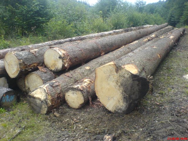 DSC00069.jpg