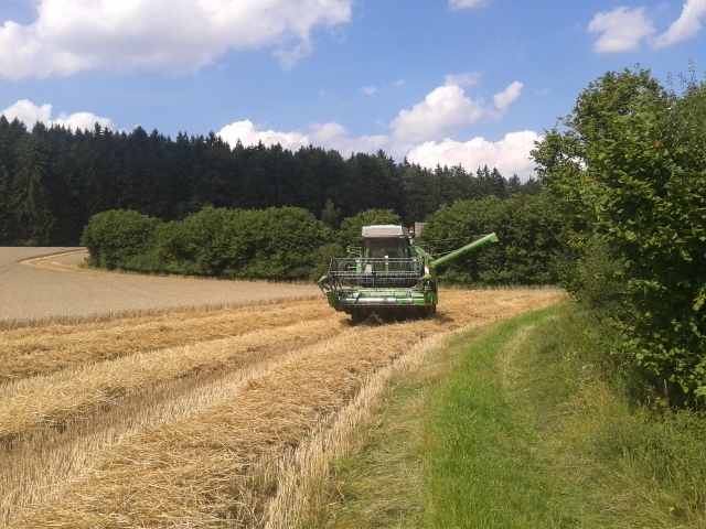 2014-08-08 14.55.05 (640x480).jpg