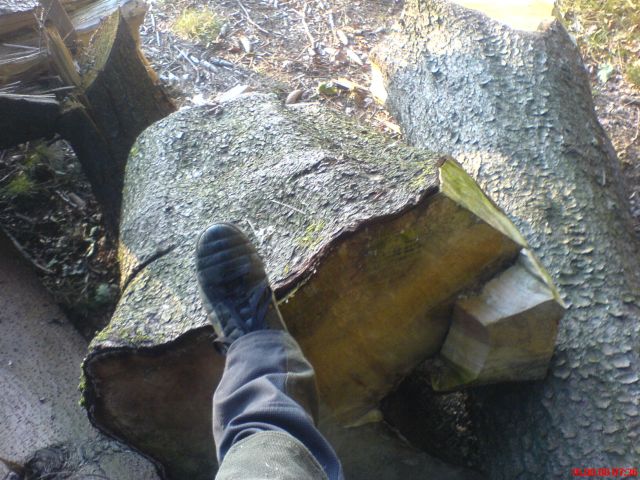 DSC00043.jpg