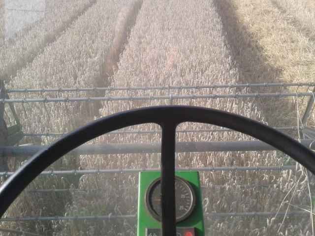 2014-08-08 17.36.51 (640x480).jpg