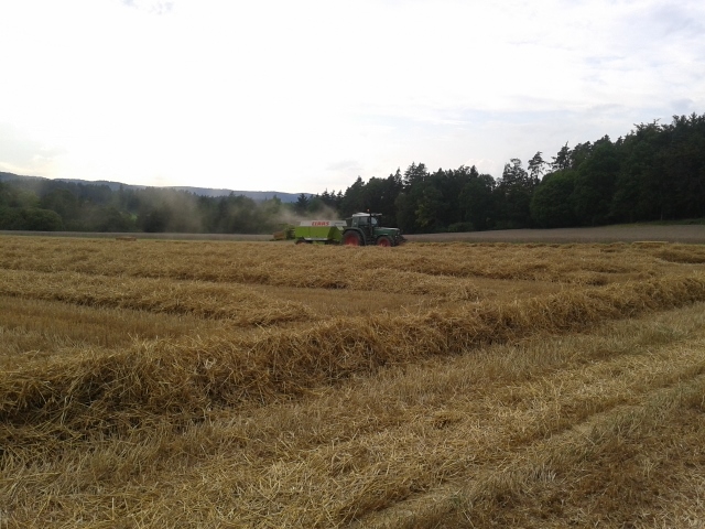 2014-08-07 18.01.35 (640x480).jpg